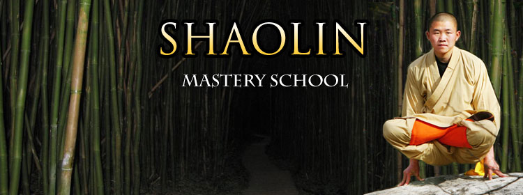 Shaolin Mastery School Banner